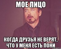 мое лицо когда друзья не верят, что у меня есть пони