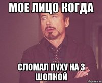 МОЕ ЛИЦО КОГДА СЛОМАЛ ПУХУ НА 3 ШОПКОЙ