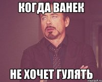 Когда Ванек не хочет гулять