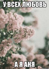 у всех любовь а я аня