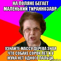 На поляне бегает маленький тираннозавр. Узнайте массу дерева зная что собаке сорок лет и у жука нет одного пальца.