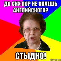 До сих пор не знаешь английского? СТЫДНО!