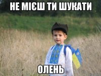 не мієш ти шукати олень