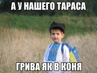 А у нашего Тараса грива як в коня