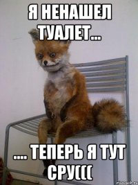 Я ненашел туалет... .... теперь я тут сру(((