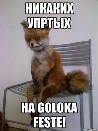 никаких упртых на Goloka feste!