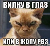 ВИЛКУ В ГЛАЗ ИЛИ В ЖОПУ РВЗ