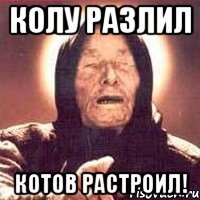 Колу разлил Котов растроил!