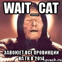 WAIT_CAT завоюет все провинции на ГК в 2014