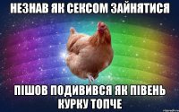 незнав як сексом зайнятися пішов подивився як півень курку топче