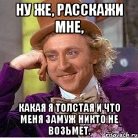 Ну же, расскажи мне, какая я толстая и что меня замуж никто не возьмет.