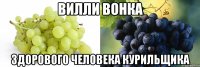 Вилли Вонка здорового человека курильщика