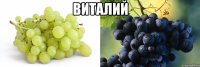 Виталий 