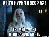 А кто курил овес? А?! Ты мне тут не отпирайся, блять