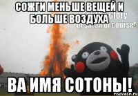 СОЖГИ МЕНЬШЕ ВЕЩЕЙ И БОЛЬШЕ ВОЗДУХА ВА ИМЯ СОТОНЫ!