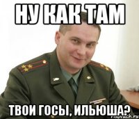 Ну как там твои ГОСЫ, ильюша?