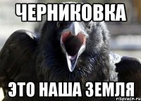 ЧЕРНИКОВКА ЭТО НАША ЗЕМЛЯ