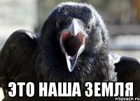  ЭТО НАША ЗЕМЛЯ