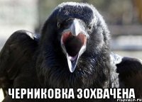  черниковка зохвачена
