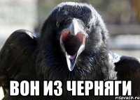  ВОН ИЗ ЧЕРНЯГИ