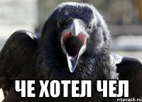  ЧЕ ХОТЕЛ ЧЕЛ