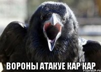  ВОРОНЫ АТАКУЕ КАР КАР