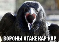 ВОРОНЫ ОТАКЕ КАР КАР