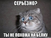 Серьёзно? Ты не похожа на белку