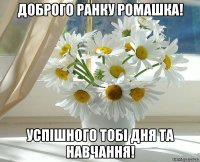 Доброго ранку Ромашка! Успішного тобі дня та навчання!