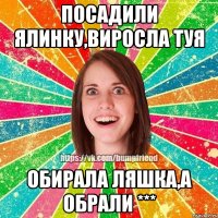 Посадили ялинку,виросла туя Обирала Ляшка,а обрали ***
