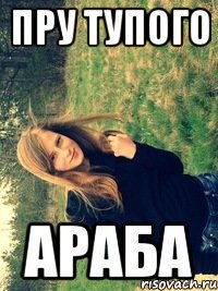 Пру тупого Араба