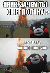 Ярик, зачем ты сжег поляну 
