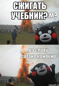 сжигать учебник? 