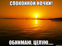 спокойной ночки! обнимаю, целую.....