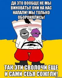 да это вообще не мы виноваты! они на нас напали! мы только оборонялись! так эти сволочи еще и сами себя сожгли!