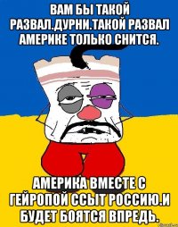 Вам бы такой развал.дурни.такой развал америке только снится. Америка вместе с гейропой ссыт россию.и будет боятся впредь.