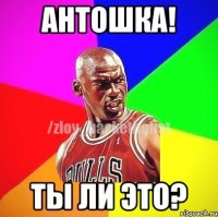 Антошка! Ты ли это?