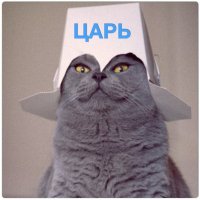 Создать мем Ахуевшая персонА