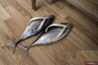 Создать мем аы