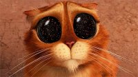 Создать мем котэ