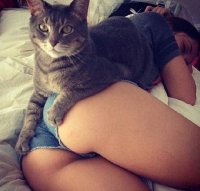 Создать мем nhty