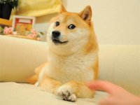 Создать мем ТО