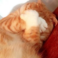 Создать мем Все Я обиделся