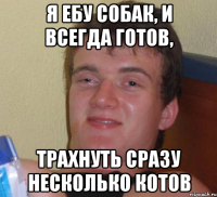 Я ебу собак, и всегда готов, трахнуть сразу несколько котов