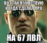 Вот так я чувствую когда сделал про На 67 лвл