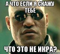 А что если я скажу тебе что это не икра?