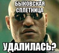 БЫКОВСКАЯ СПЛЕТНИЦА УДАЛИЛАСЬ?