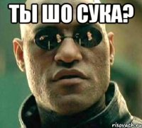 Ты шо сука? 