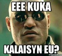 eee KUKA Kalaisyn eu?