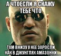 а чтоесли я скажу тебе что там внизу у нее заросли как в джунглях амазонки